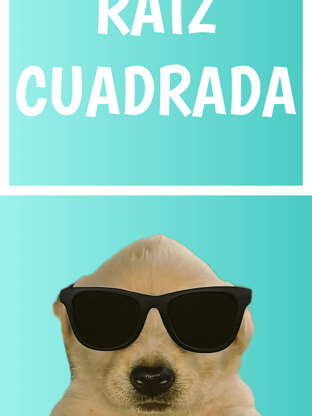 @Xplicado