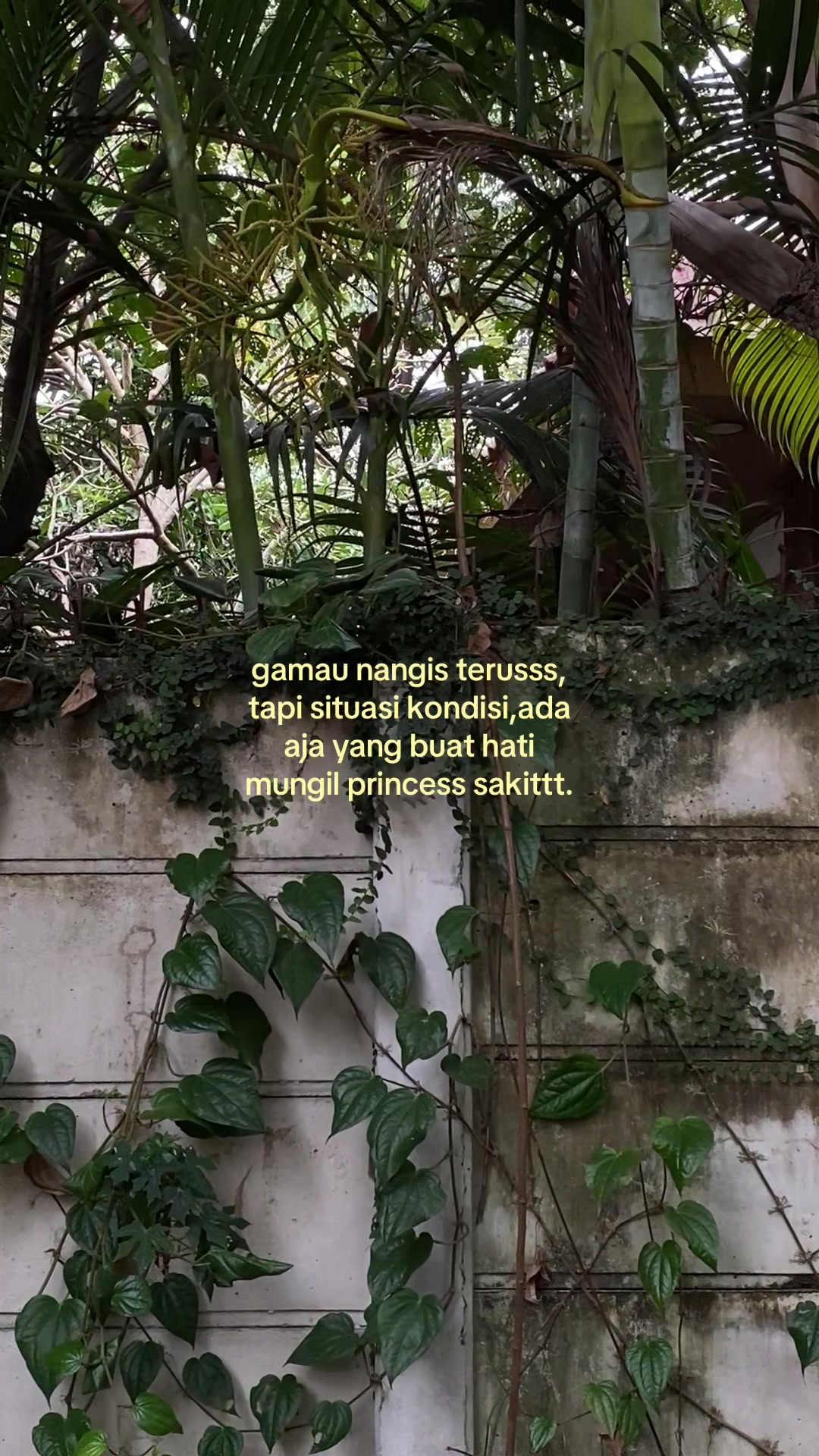 @Hey male