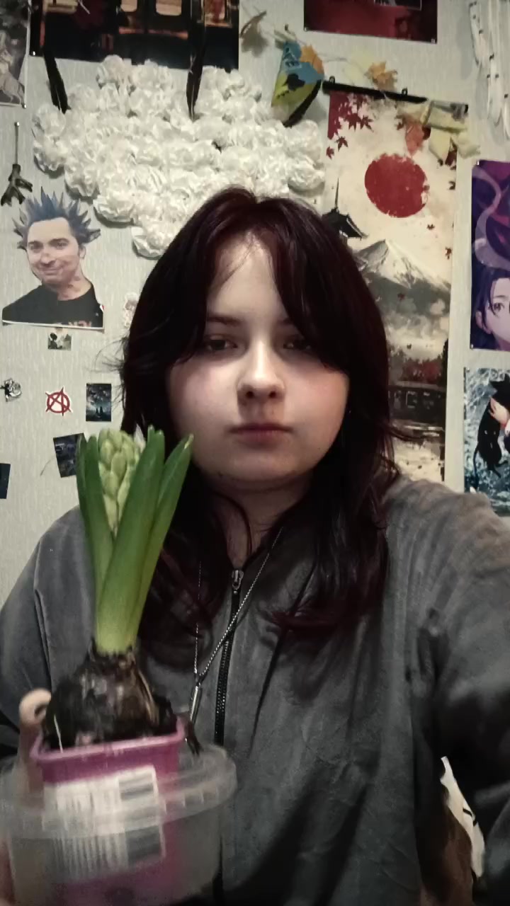 @Лис в ре миноре