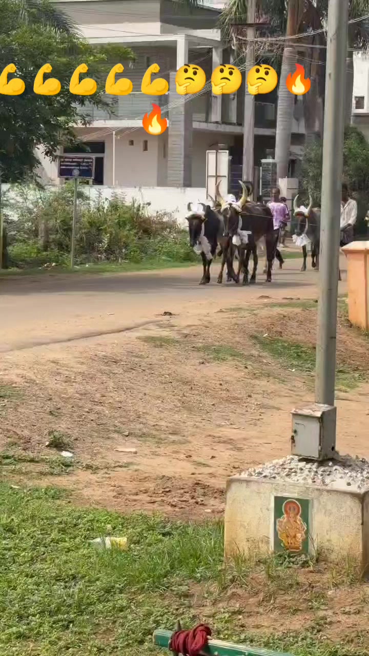 @ராஜா