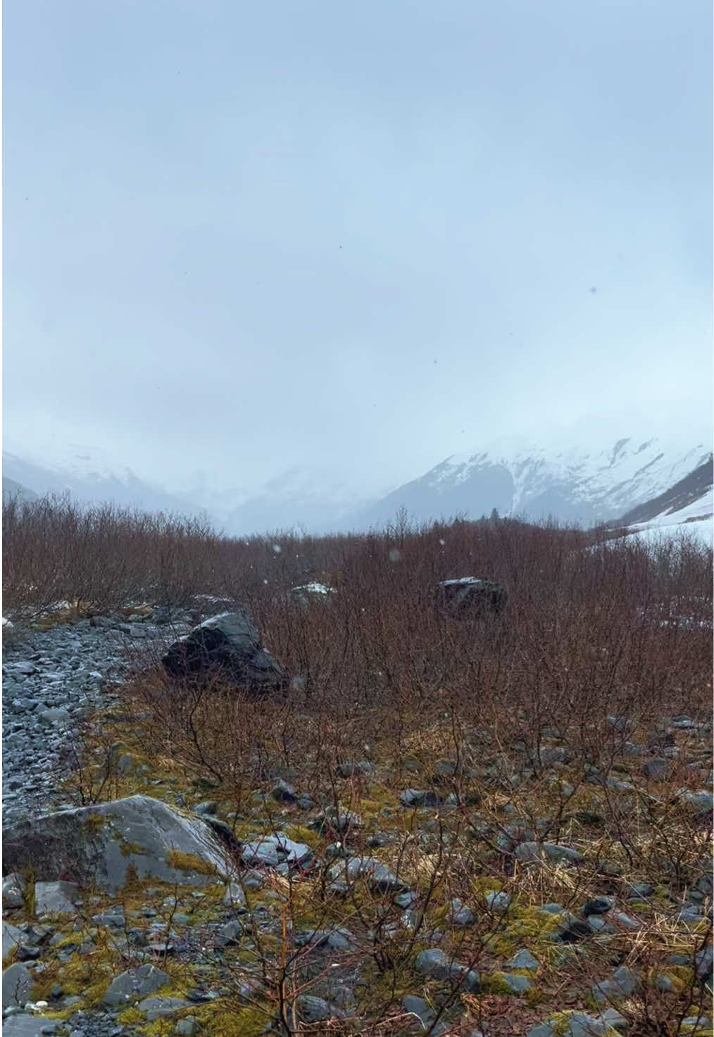 @Chasey Campbell 🏔️🕷️🐾