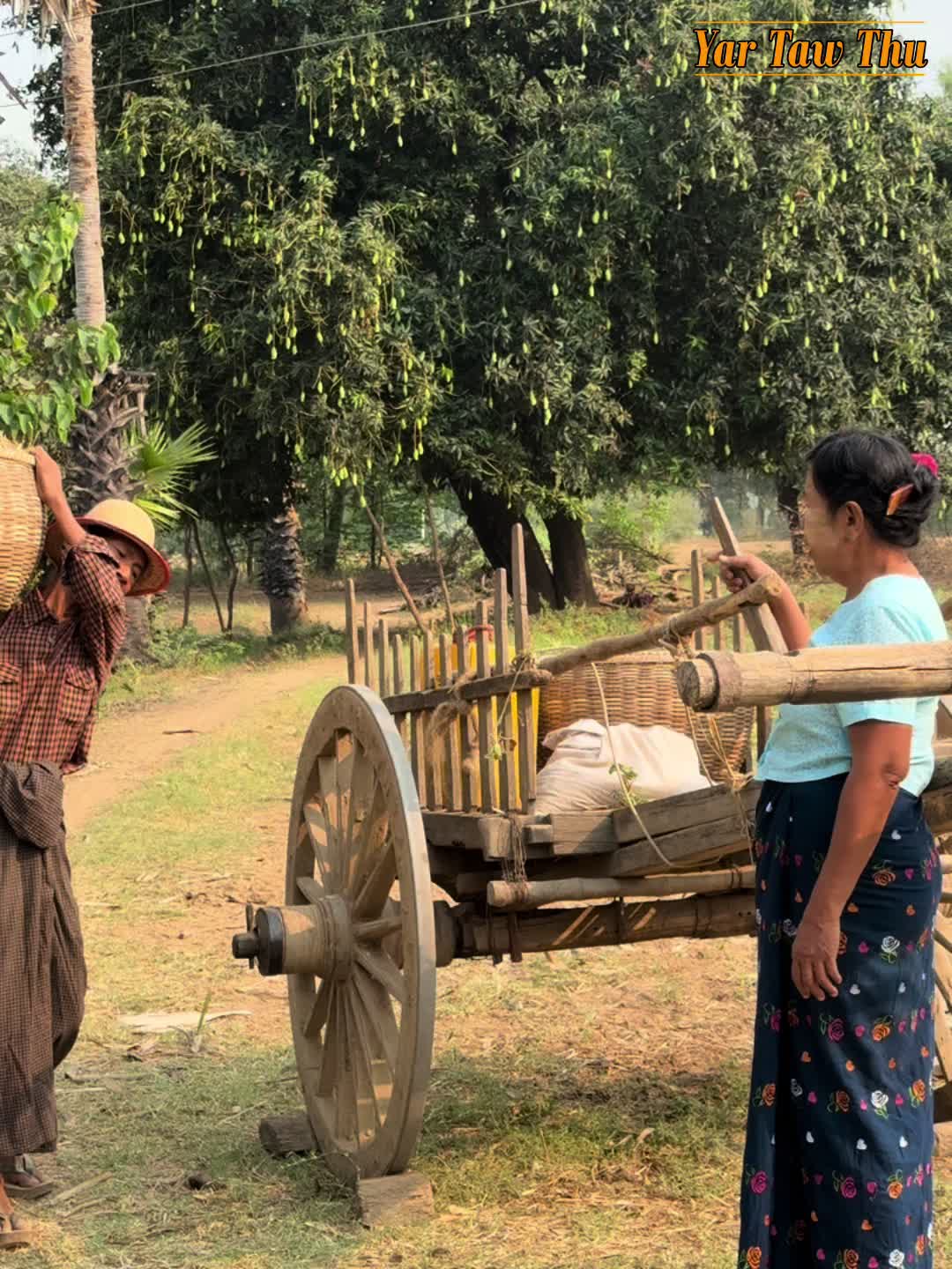 @Yar Taw Thu - ယာတောသူ