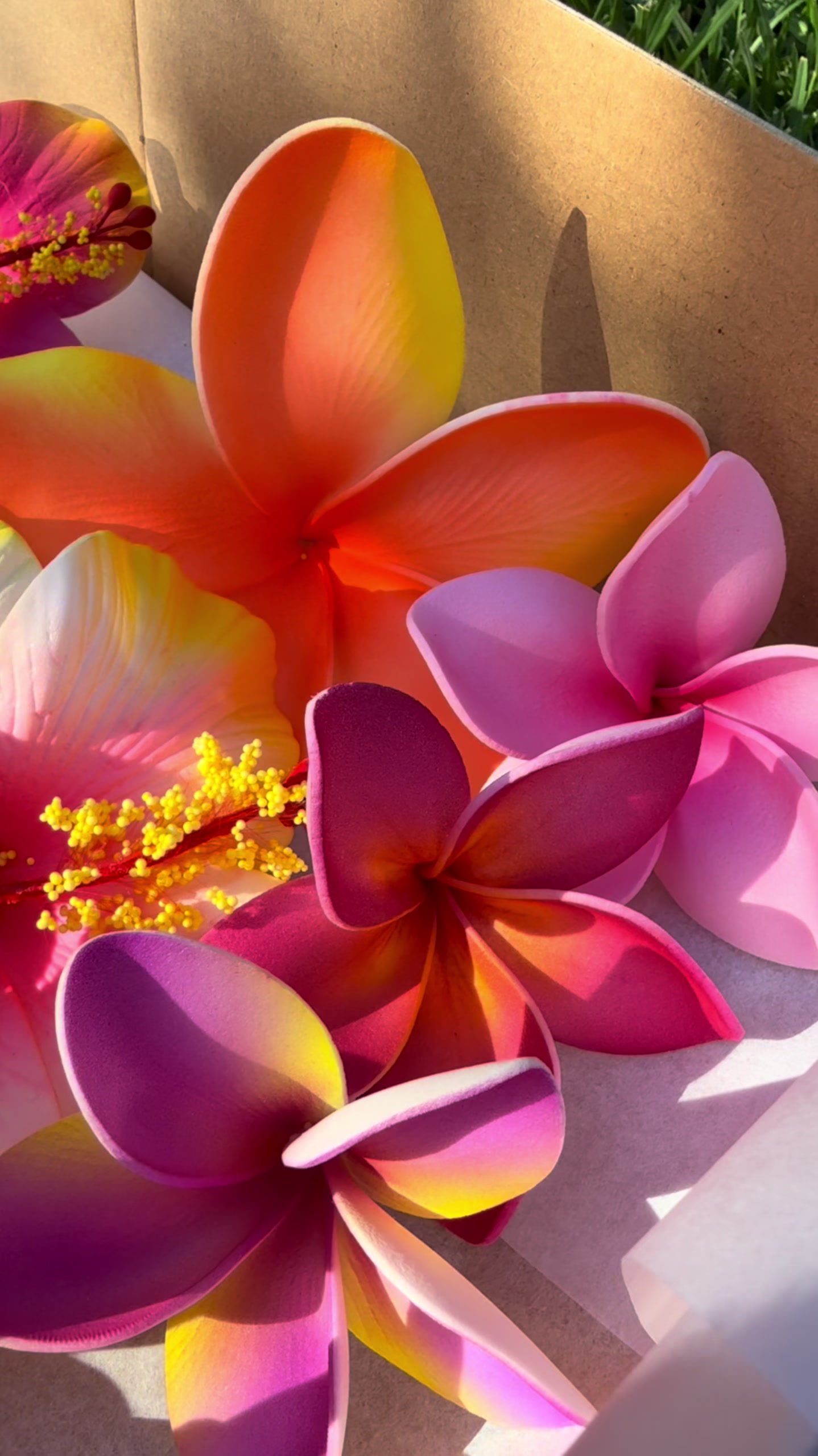@Island Aesthetica 🌺 Pasifika