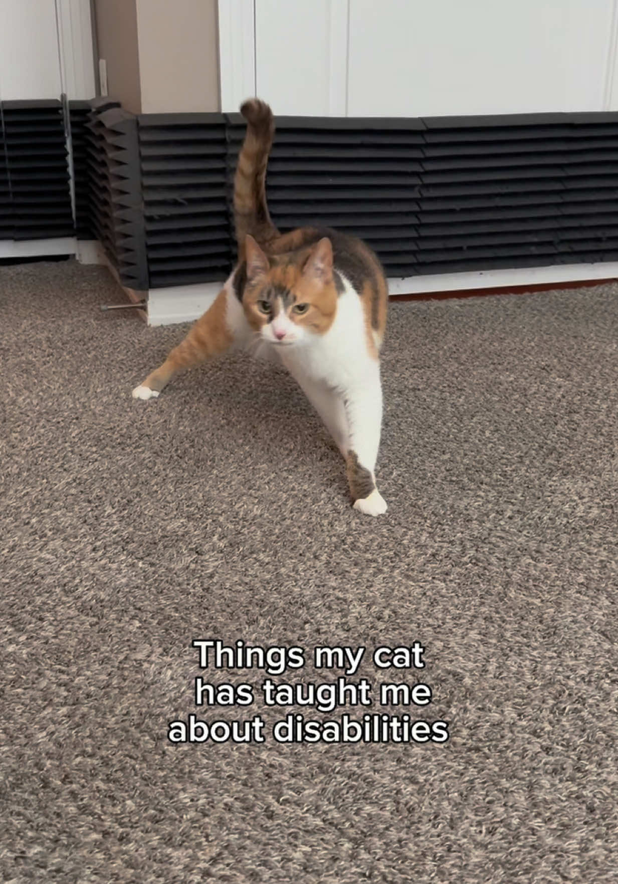 @Ada