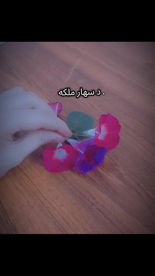 @𝑫𝒓𝒆𝒂𝒎𝒚 𝑷𝒂𝒕𝒉𝒂𝒏𝒊 ♡