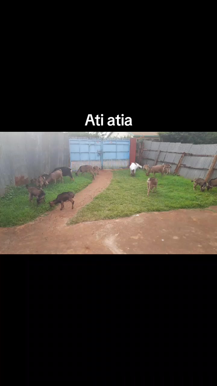 @Sam Kariuki