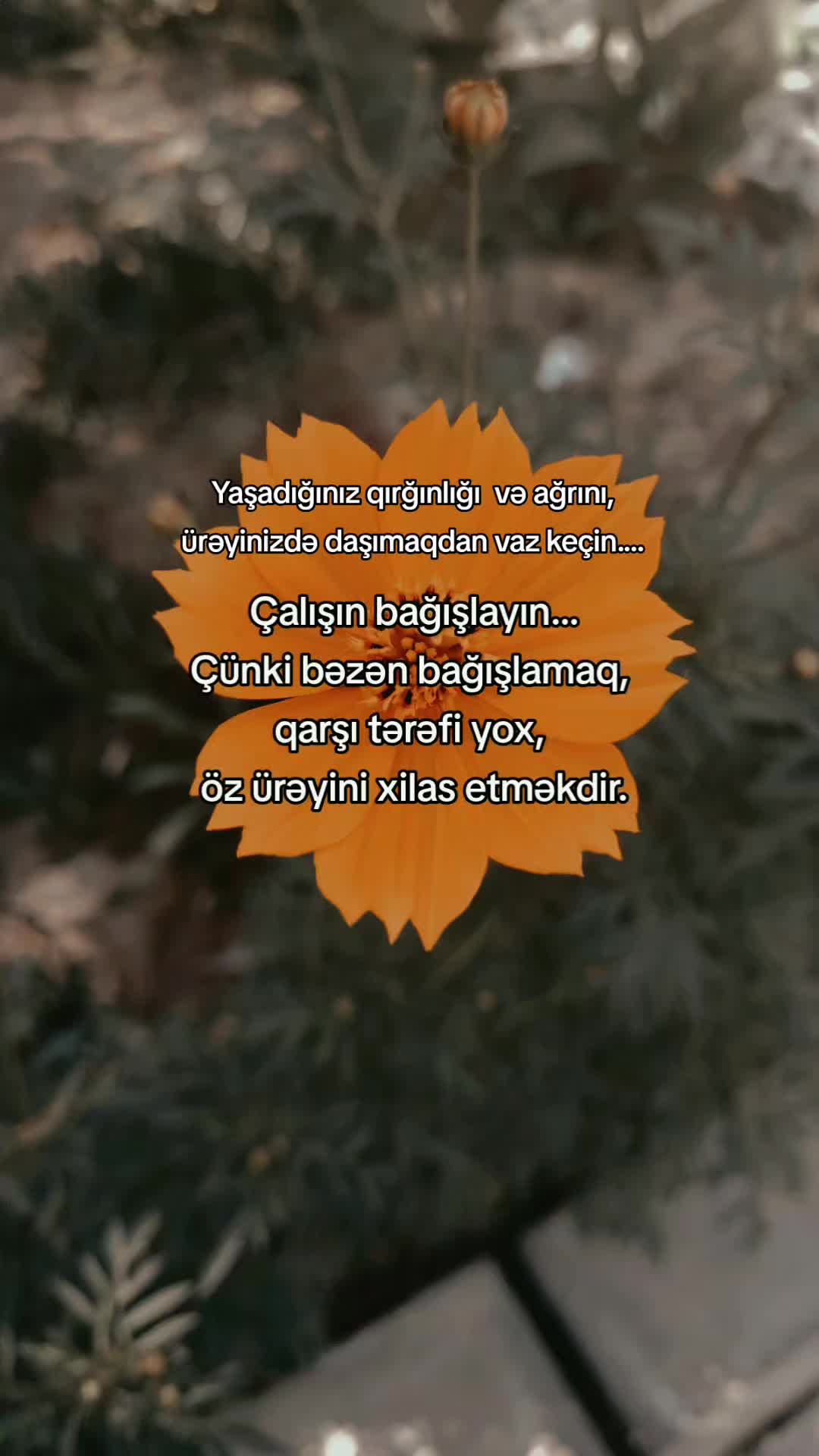 @Baharın_Dünyası💞💞