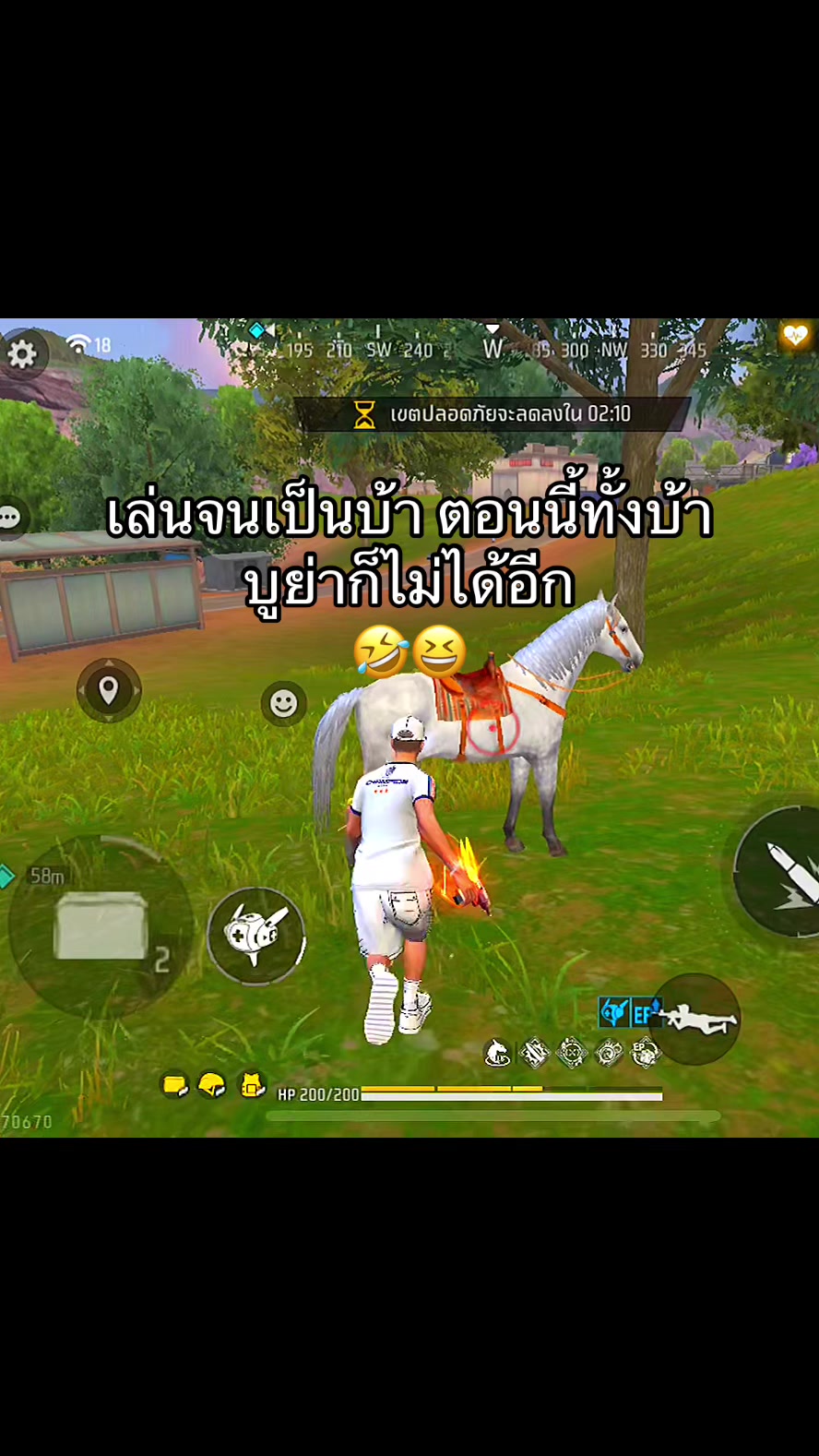 @แมวไม่มีเจ้าของ