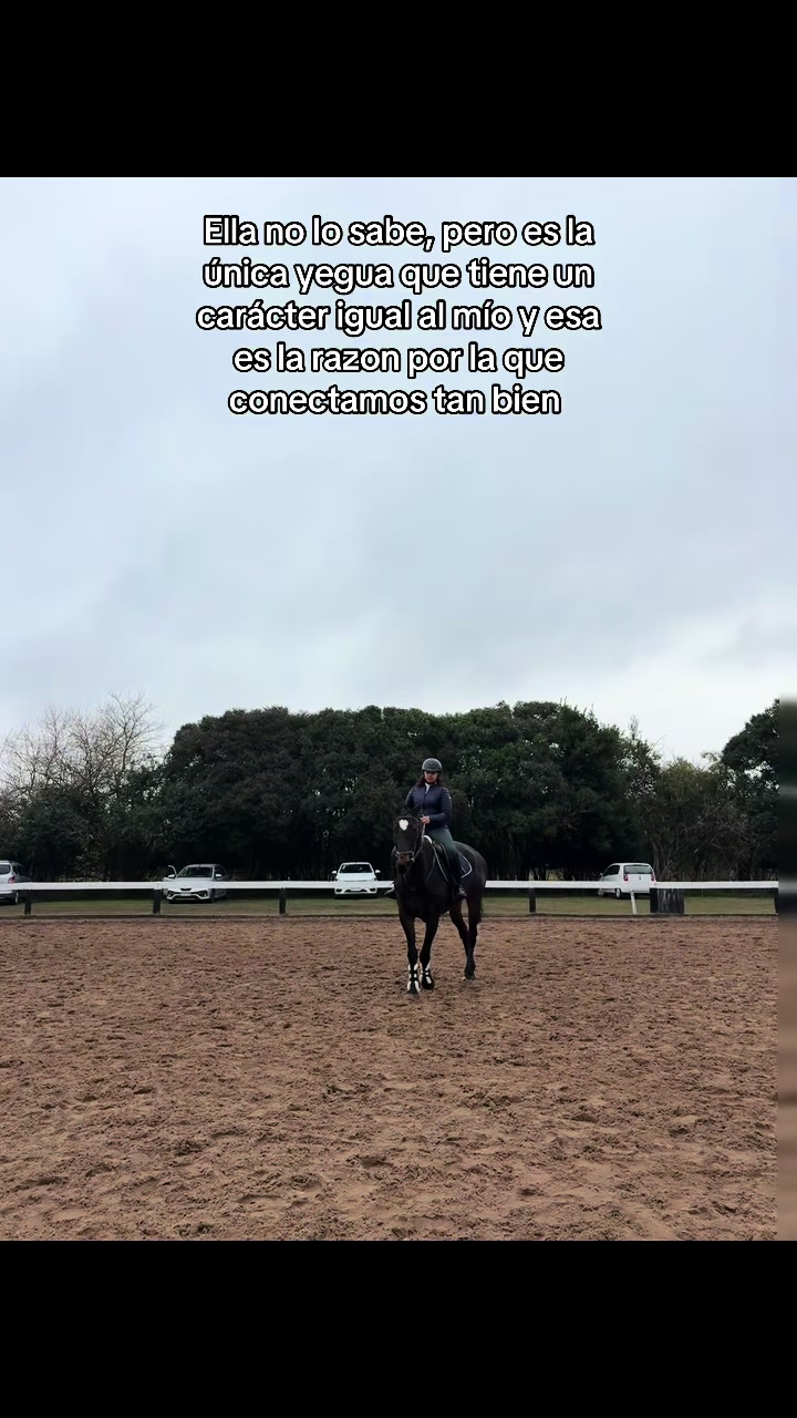 @lasjuanitas.equitacion