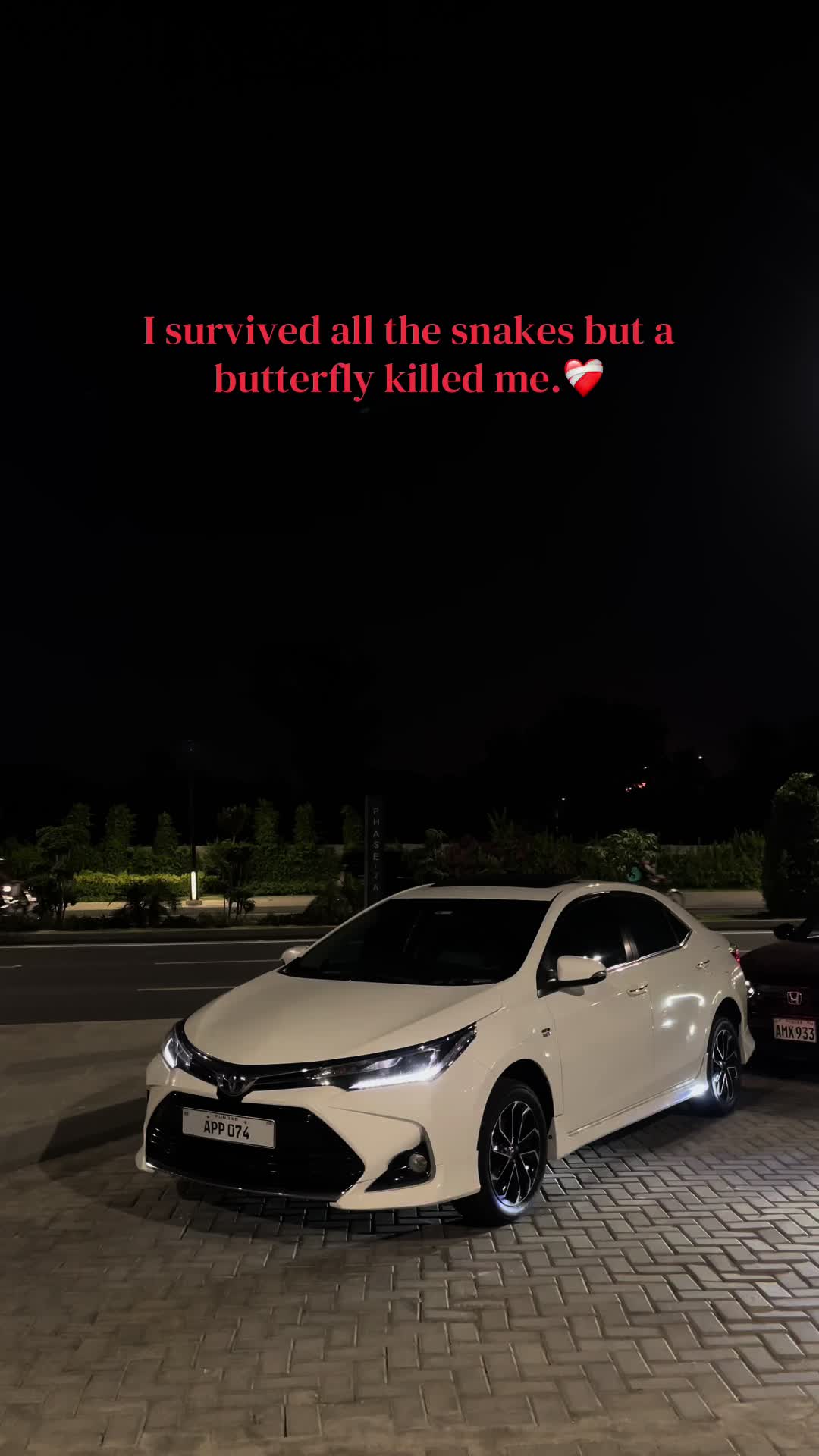 @🕷️