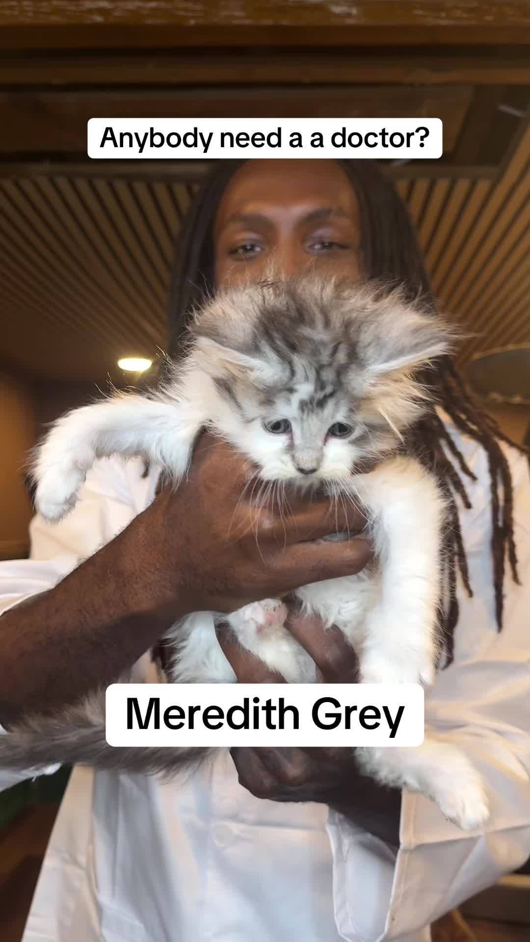 @Tycoon_Mainecoons