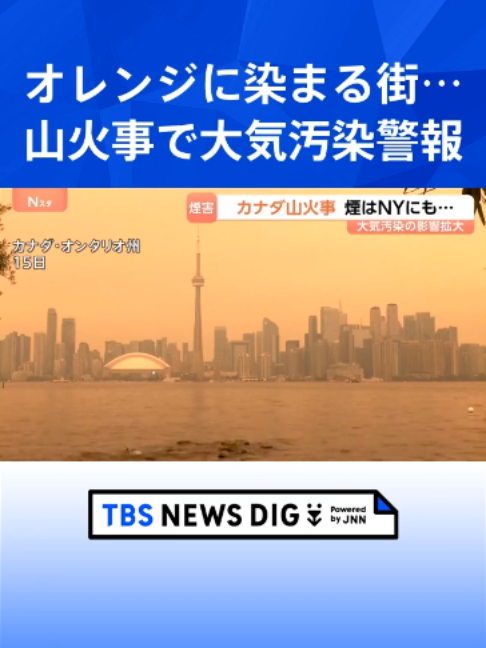 @TBS NEWS DIG Powered by JNN