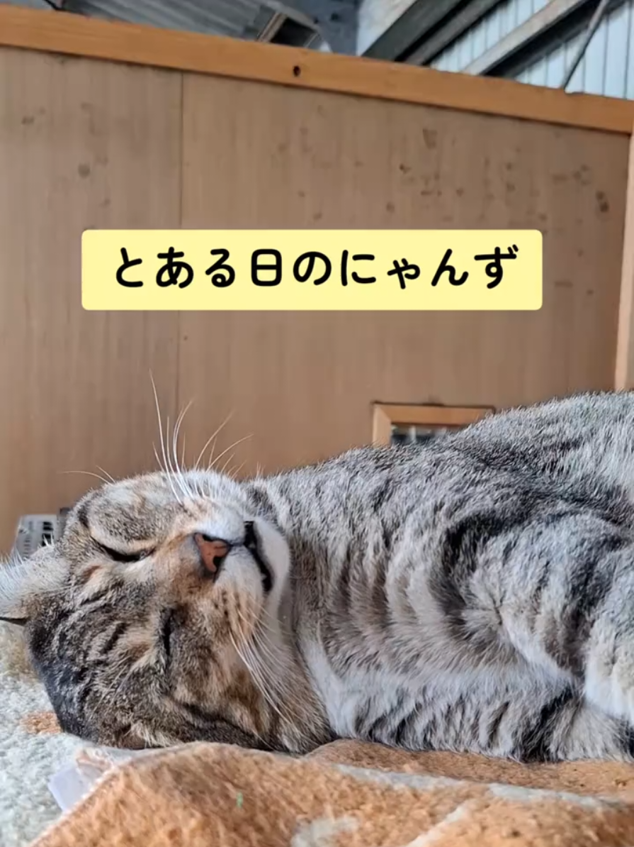 @【公式】株式会社真宮|三重