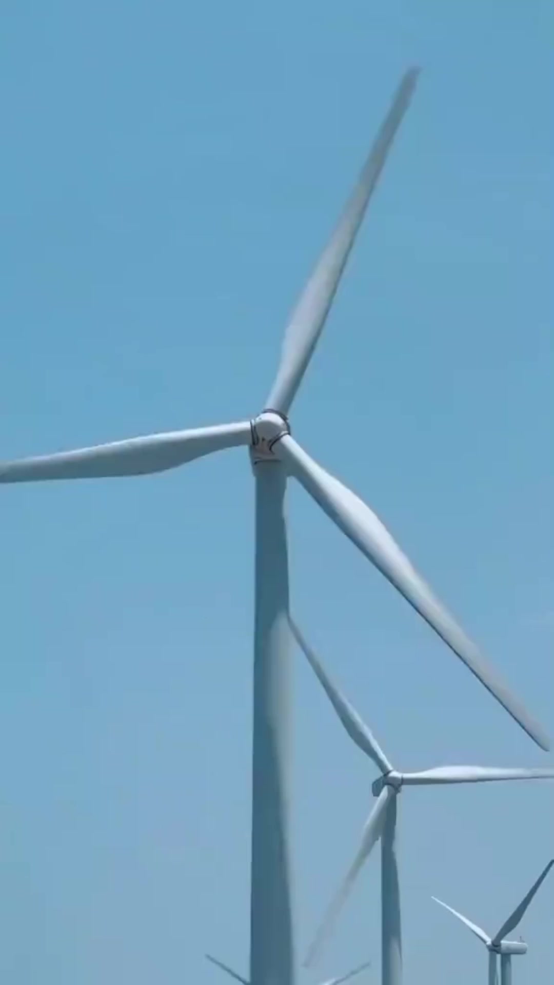 @南诺🕊