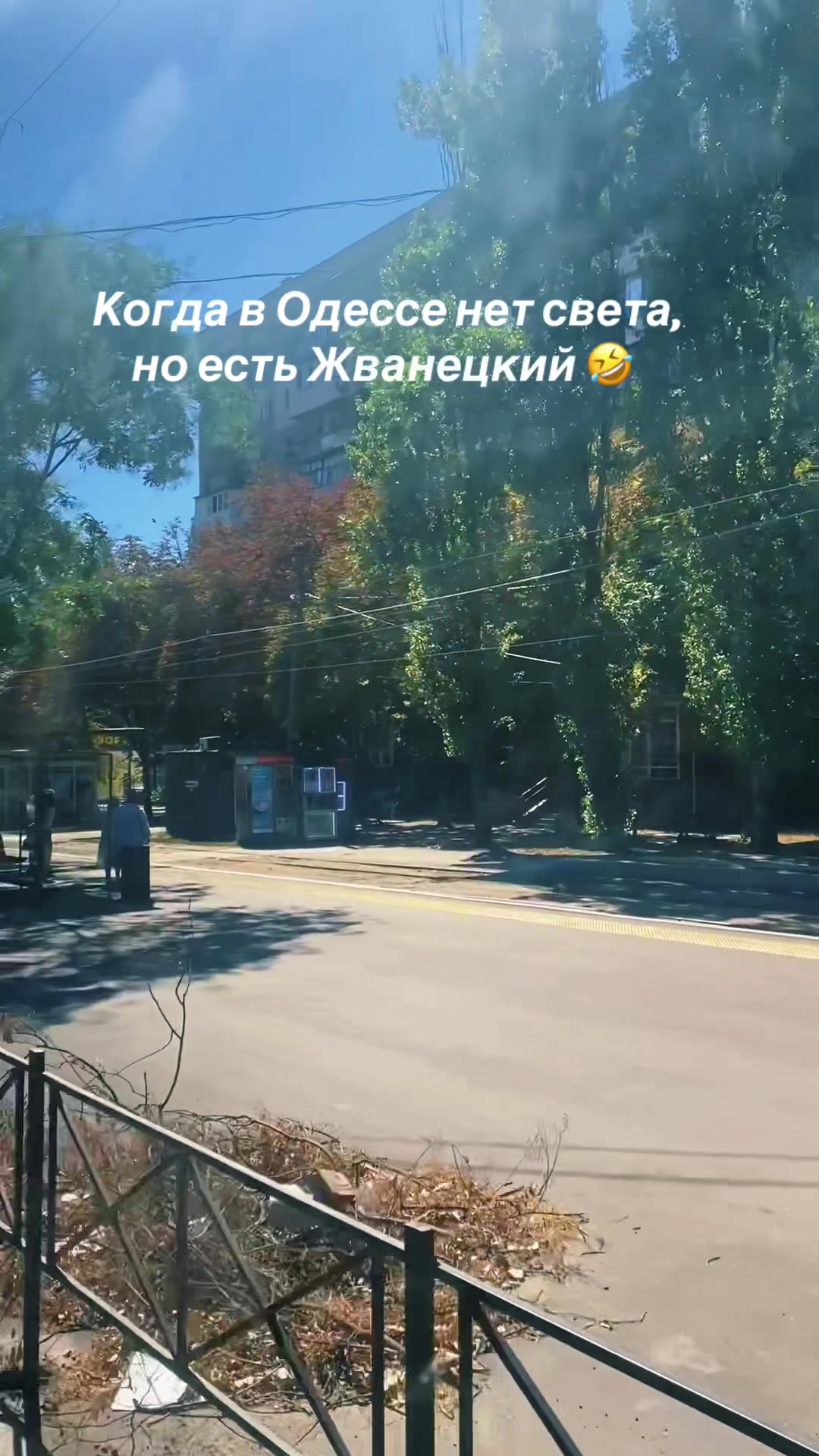@Саня🇺🇦🌴🌻