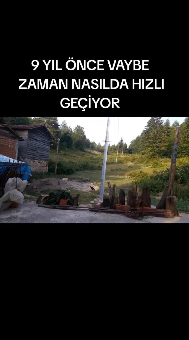 @Şenol Çelik
