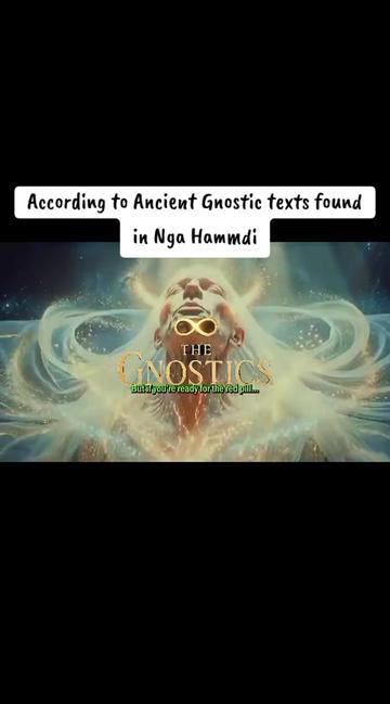 @๐๏ธ The Gnostic_ 29 ๐ข๐ฌ 11