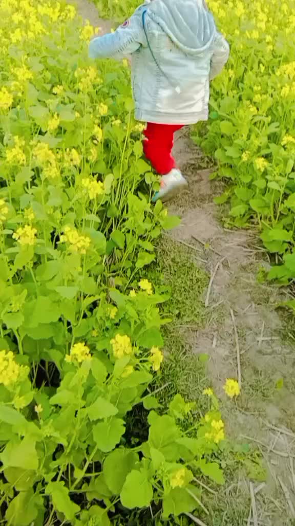 @আনিকা