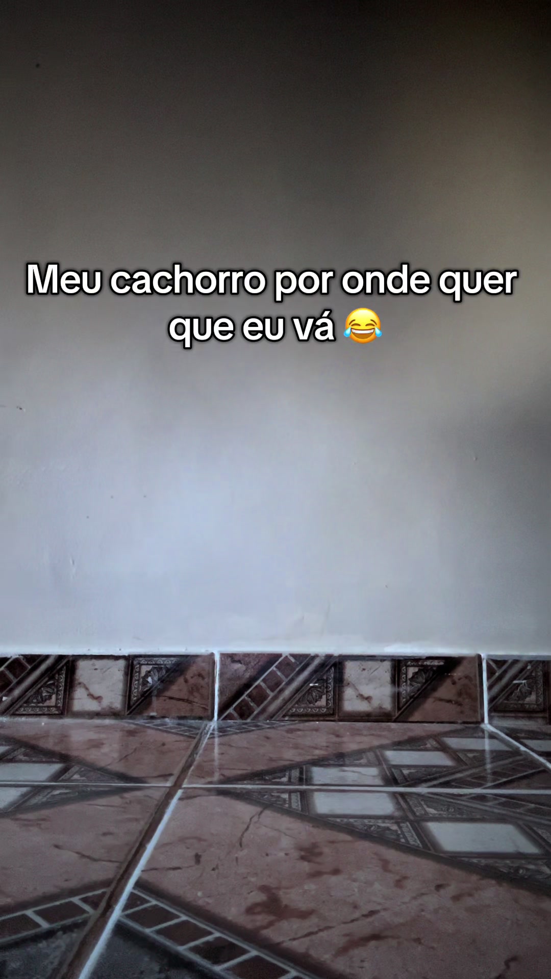 @Tamires Coelho