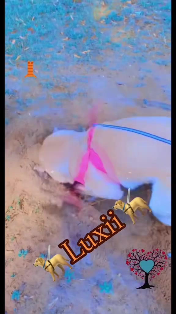 @Thanik