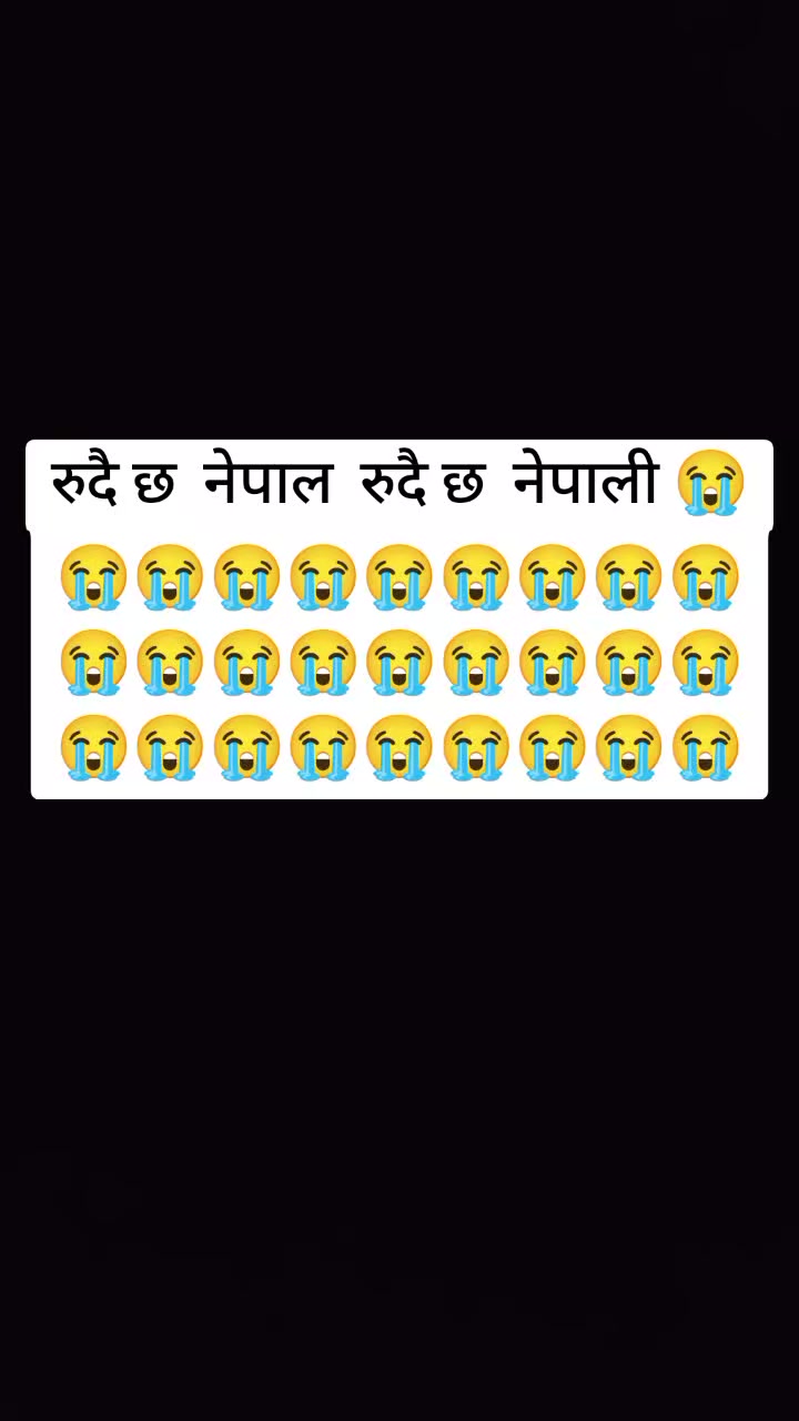 @simpalkali643