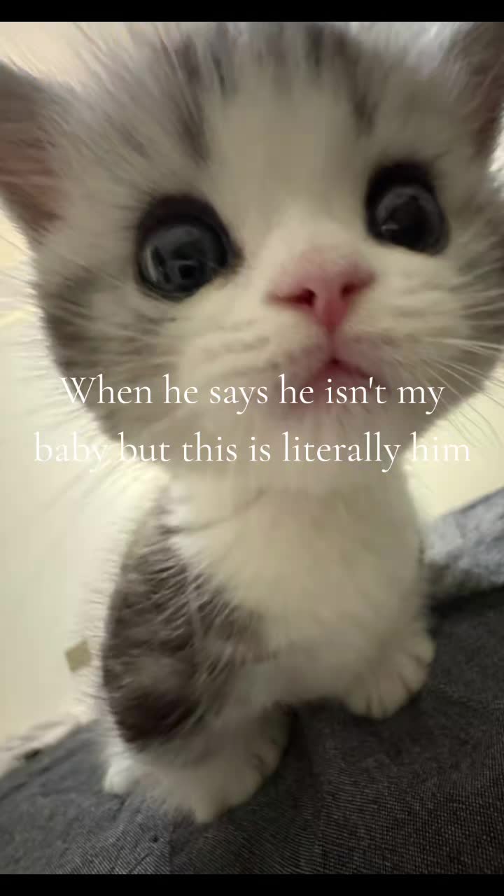 @⋆｡˚꒰ঌ 𝗕𝘂𝗻𝗻𝗶 ໒꒱˚｡⋆