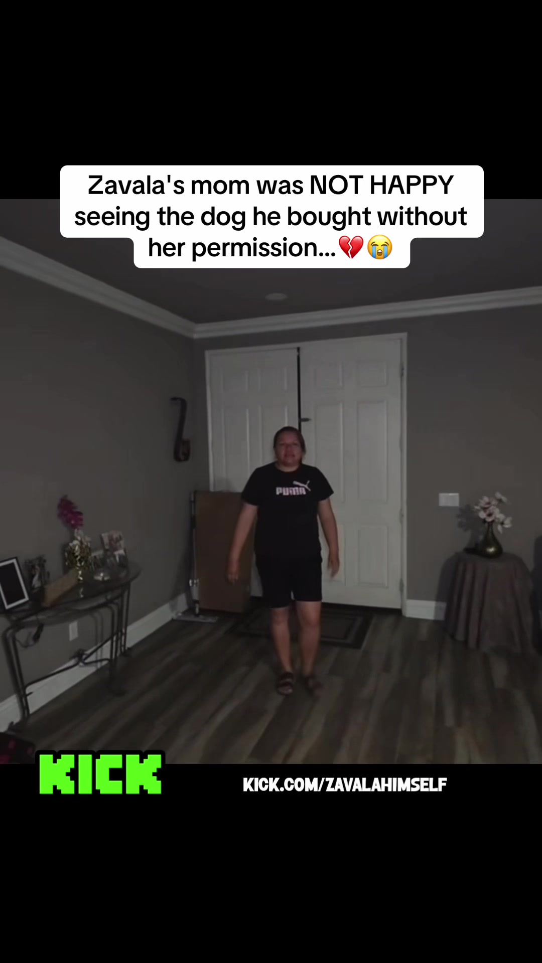 @Daily Clipz