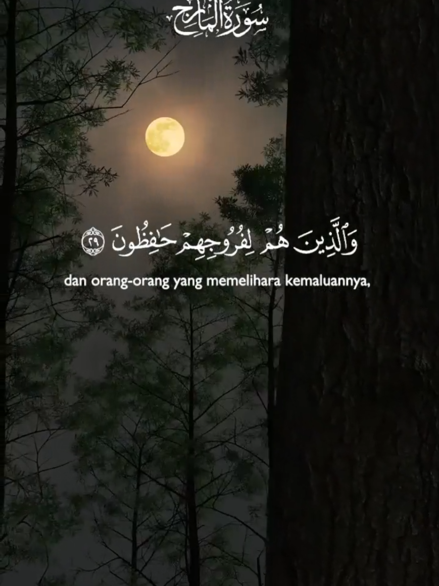 @Tulisan Cantik