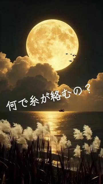 @yumi๐๐