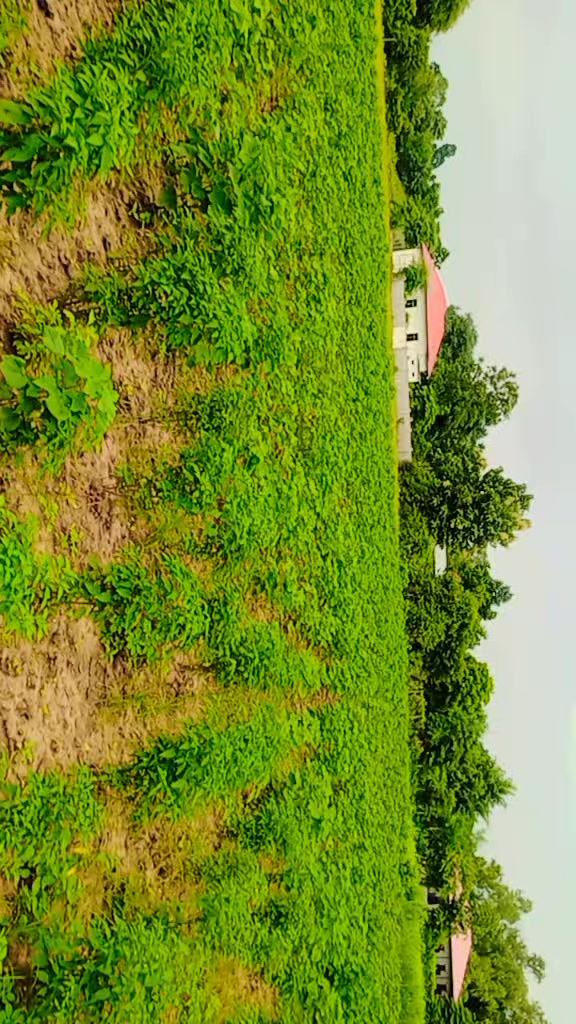 @8/နက်မောက်သားလေး