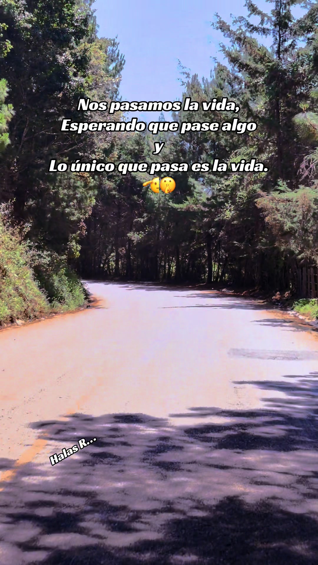 @👽HalasRivera👽