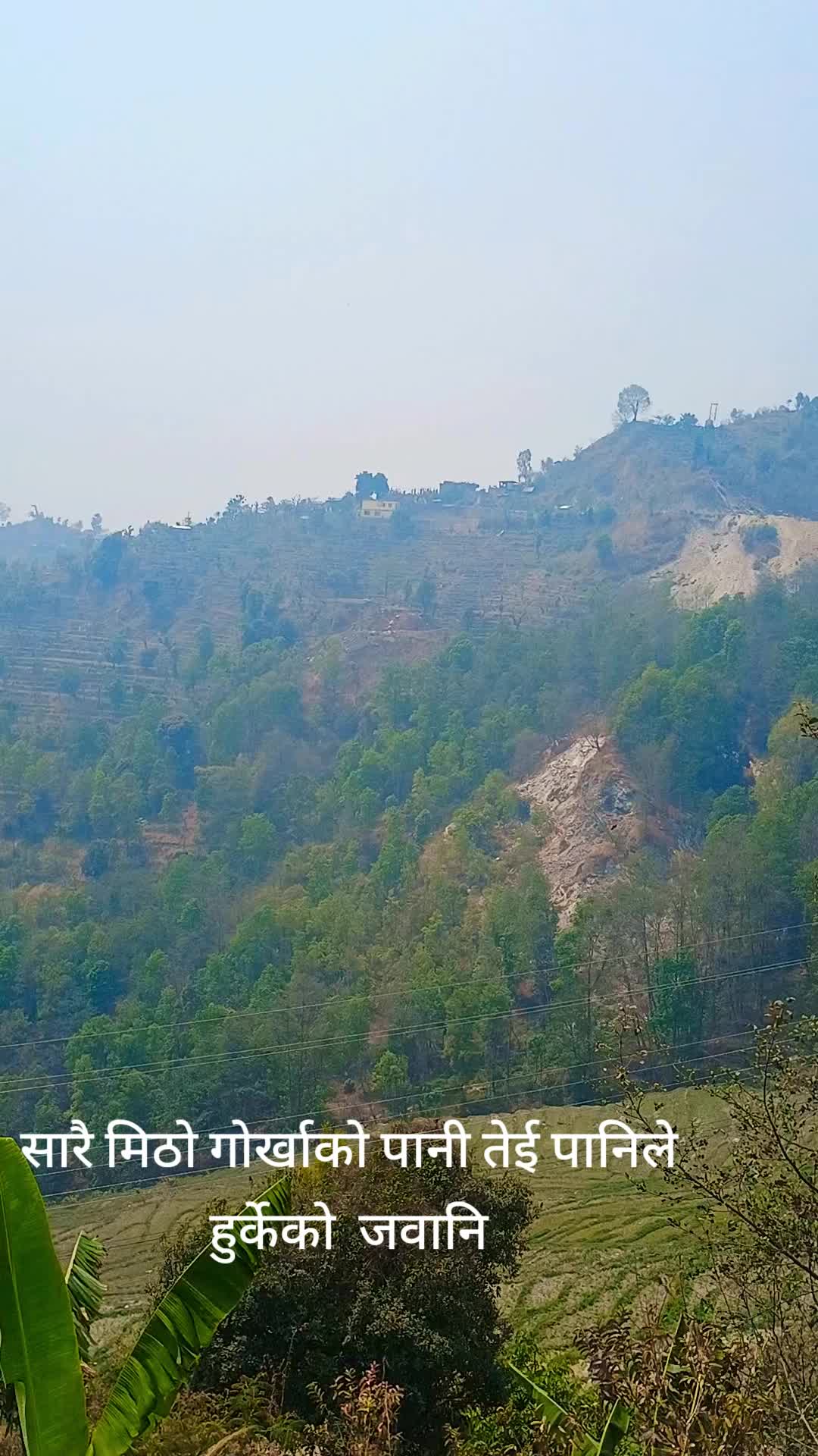 @Paru Paneru