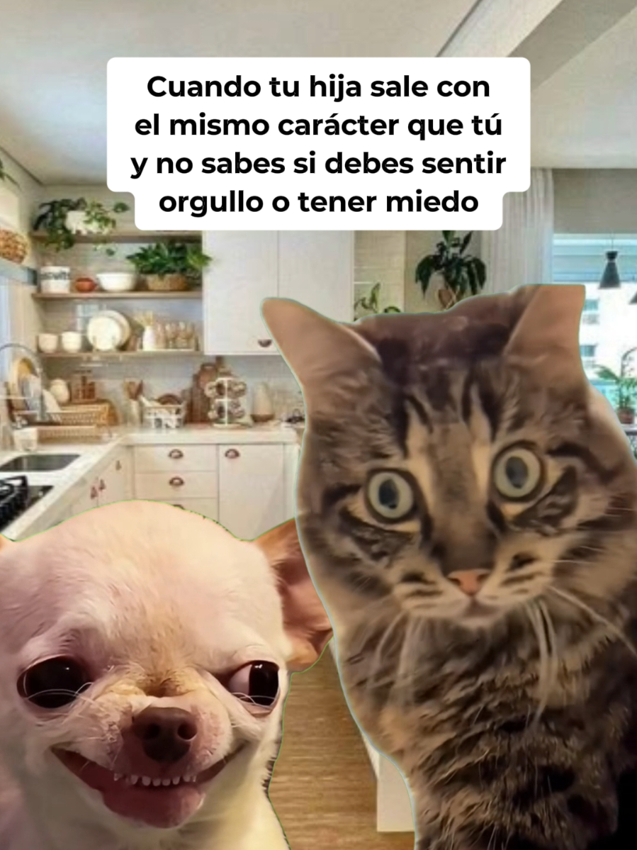 @_lu.g02 ✨️