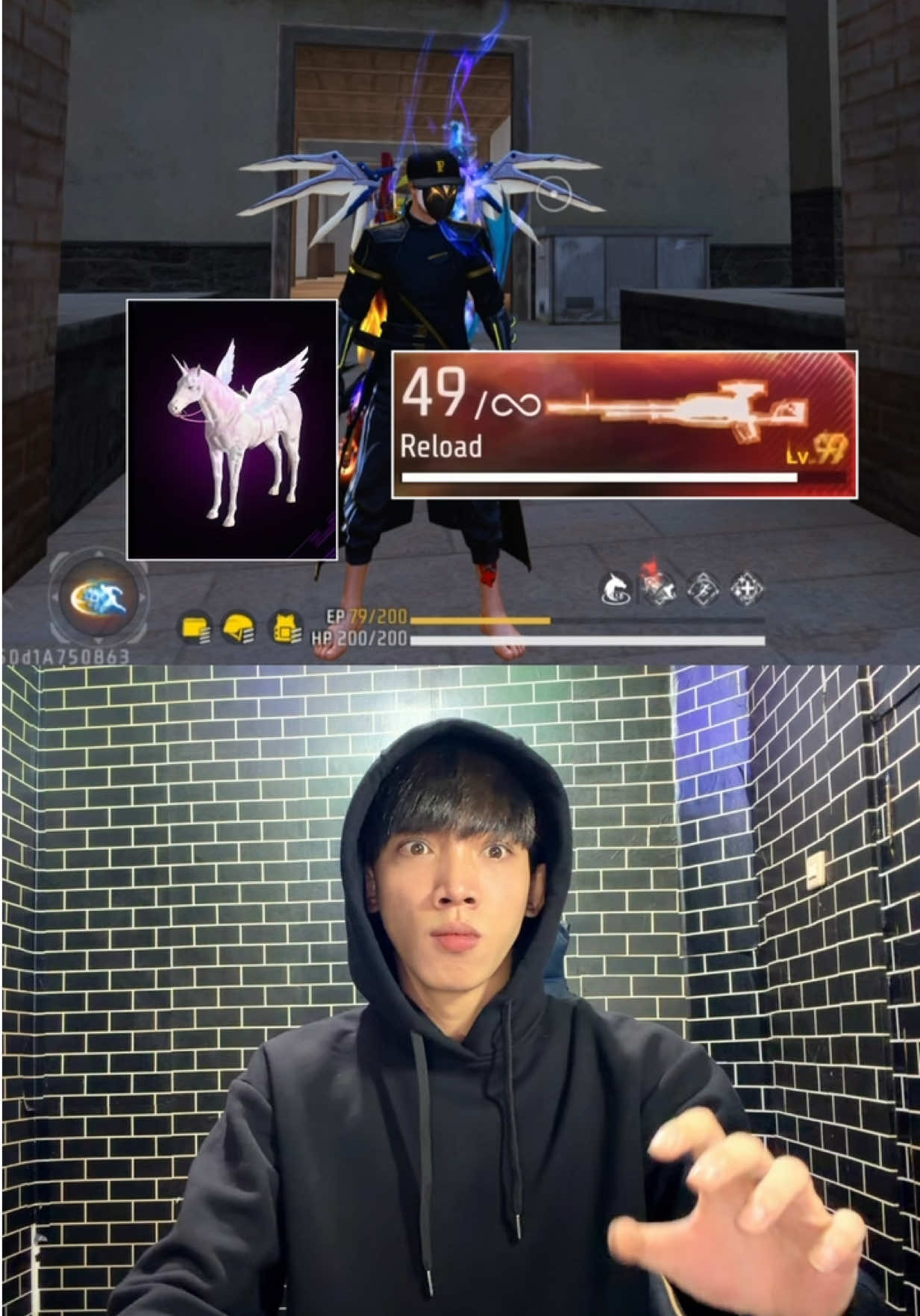 @ZARR