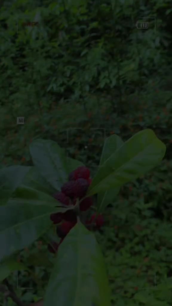 @शब्द 😰💔🥀