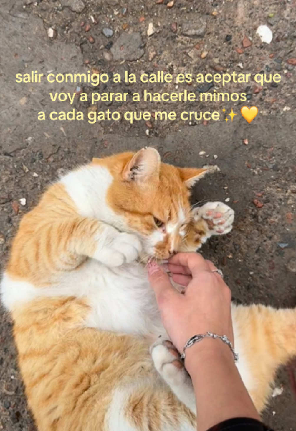 @May💗