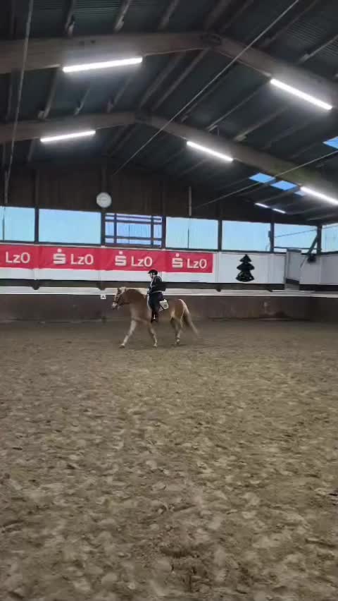 @Powerpony Alissa 💥🐴