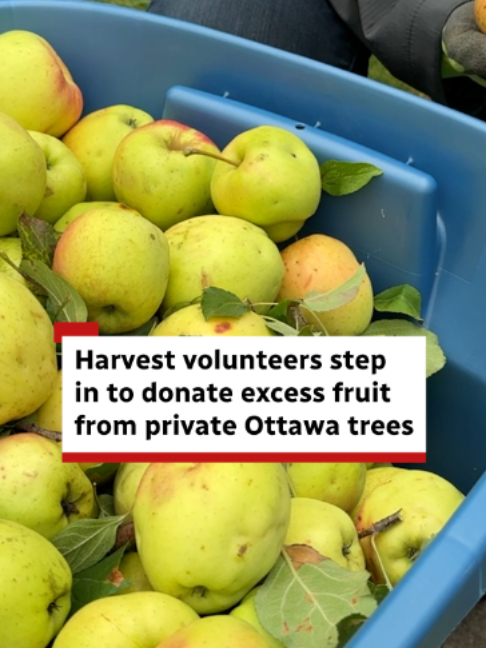@CBC Ottawa