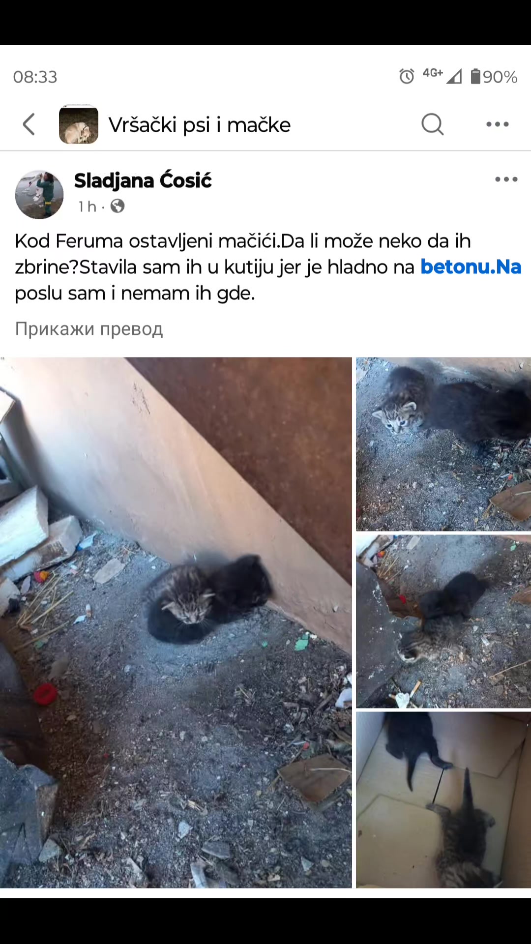 @cats&dogs)
