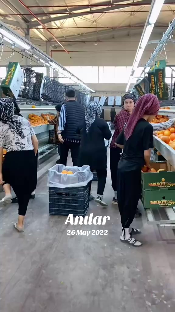 @☀️🌟İZOLLARIN AYDIN’I🌟☀️
