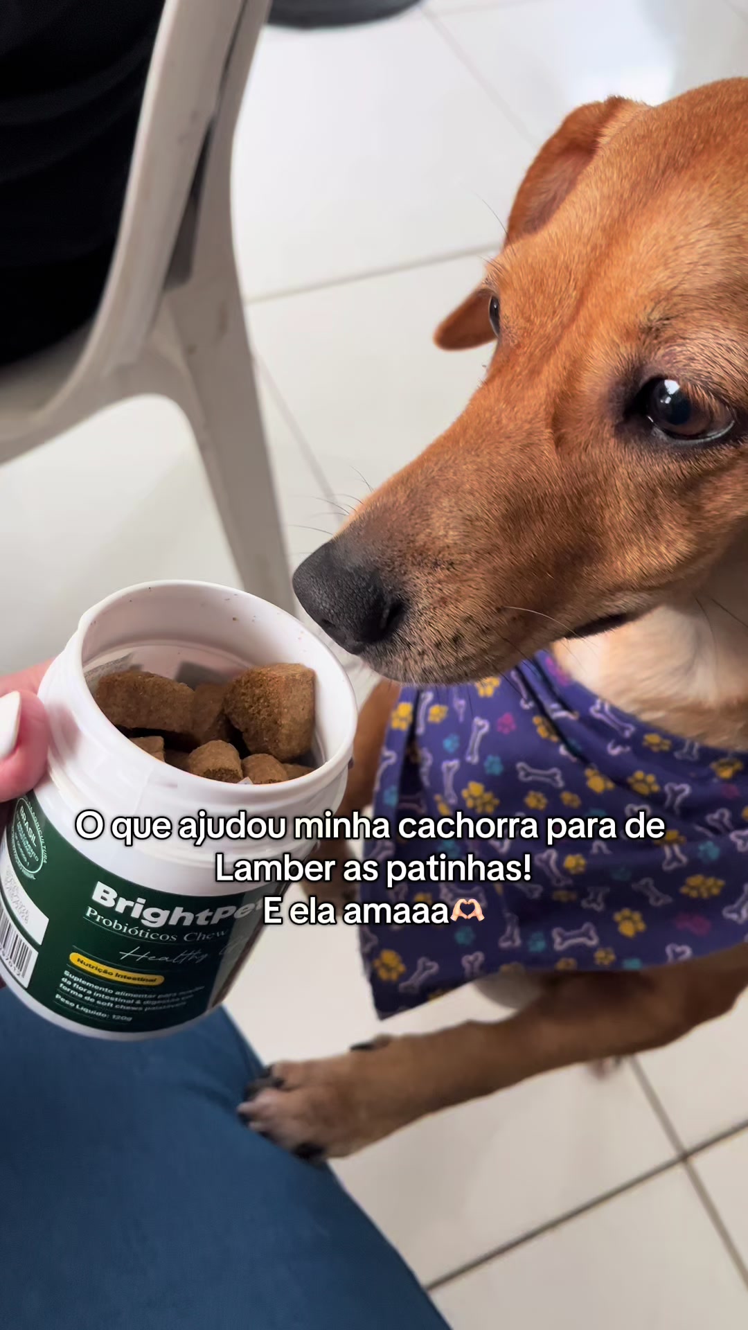 @Daniele Vitória