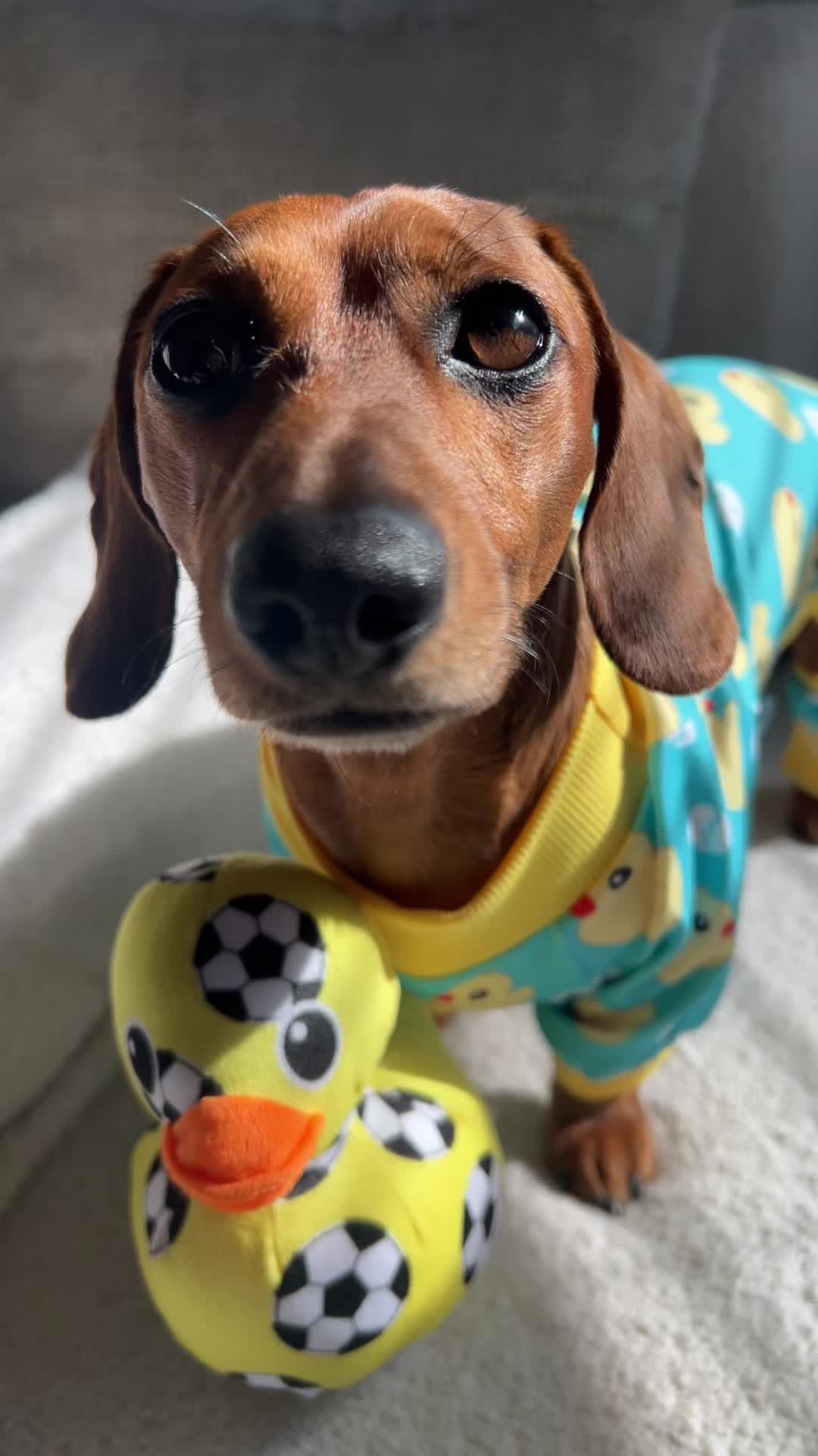 @Slinky Severus-Doo