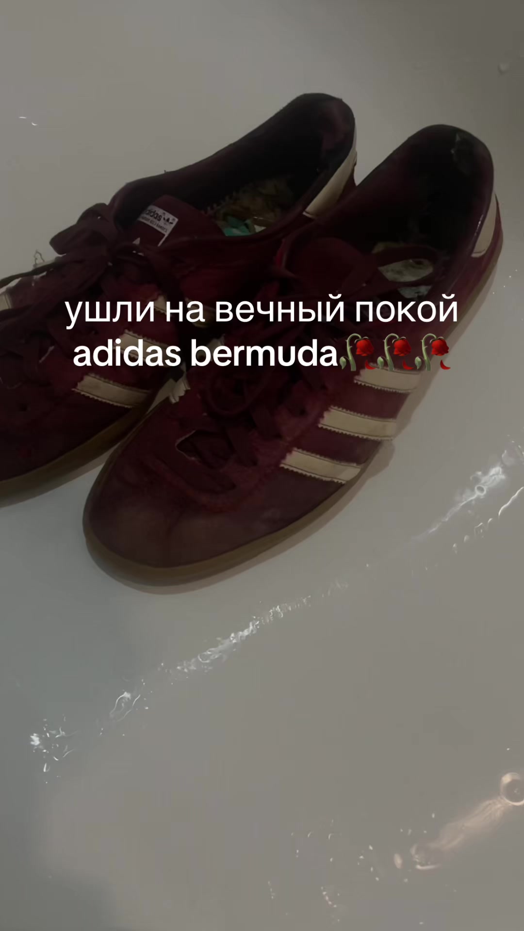 @psixozz