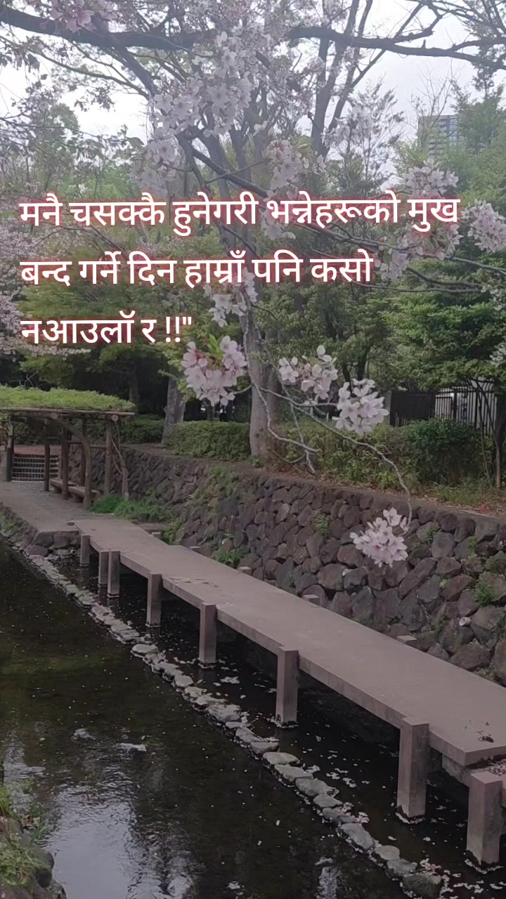 @life travelling