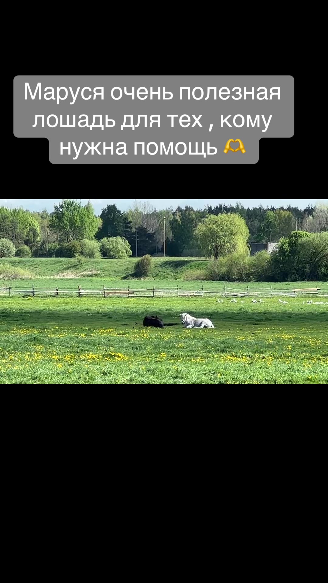 @Анастасия Чернявская.