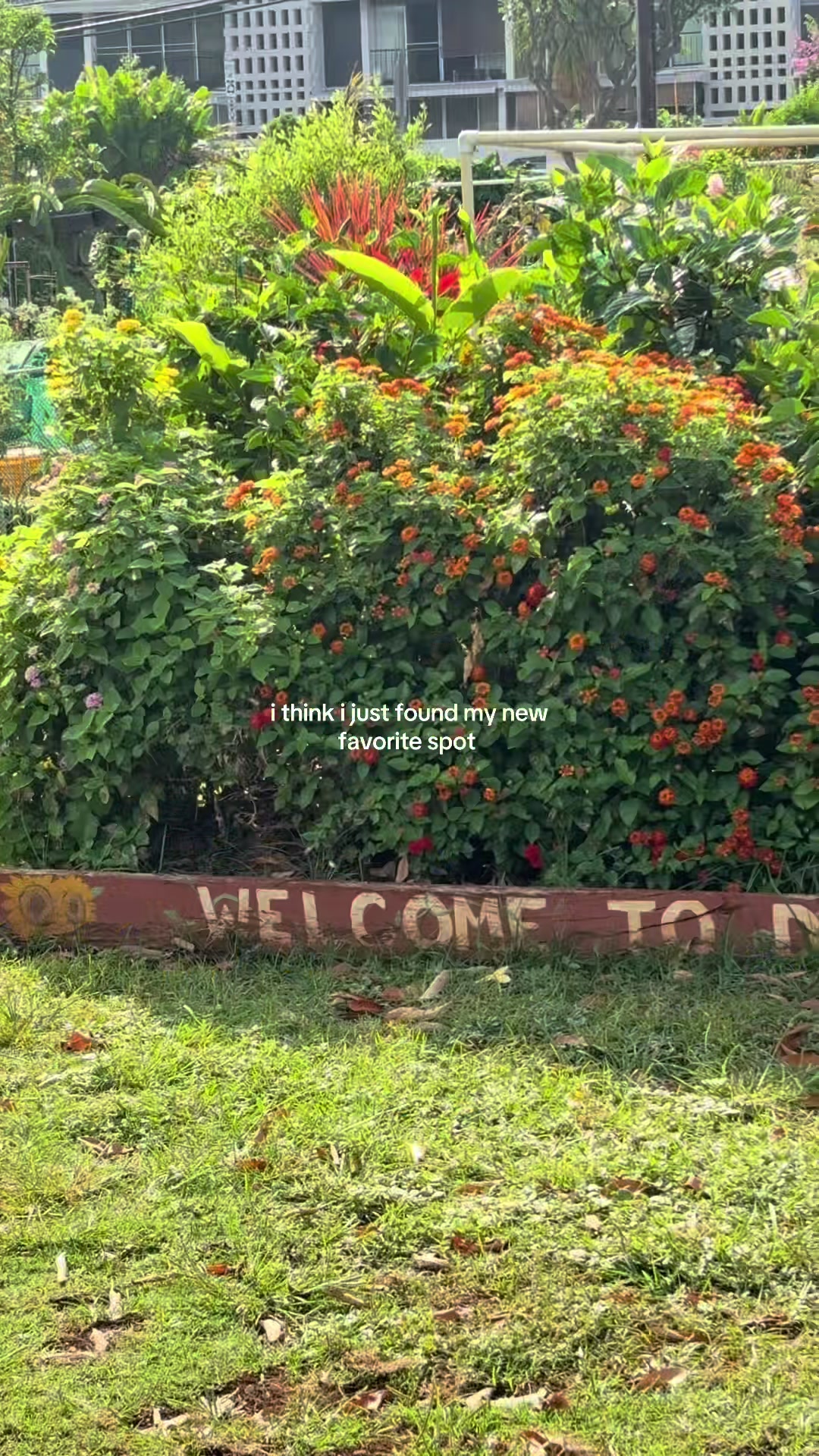 @HILINAI🥥