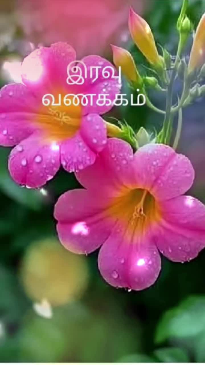 @Sai Meena