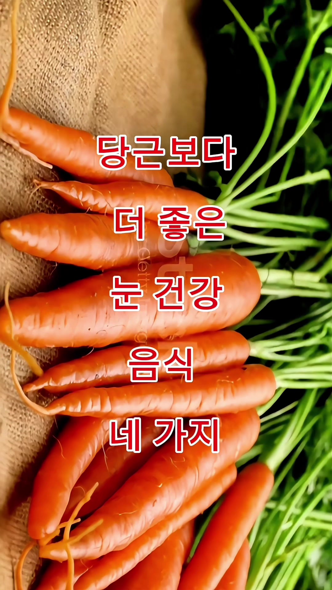 @김 박사입니다
