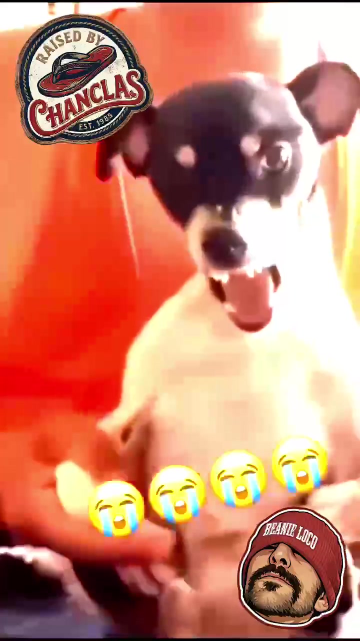 @RaisedByChanclas