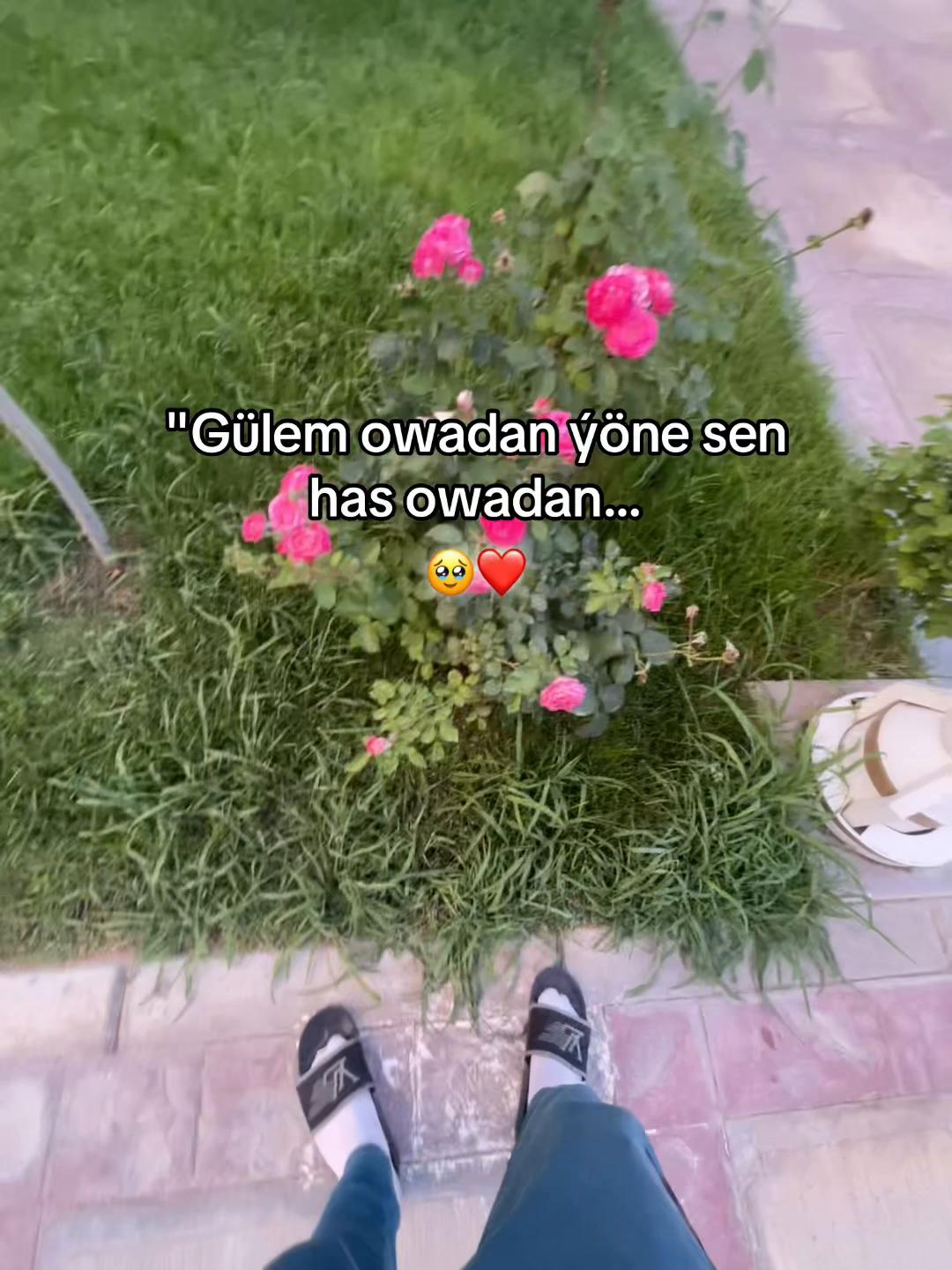 @𝓐𝓻𝓼𝓲𝓲__𝟕 